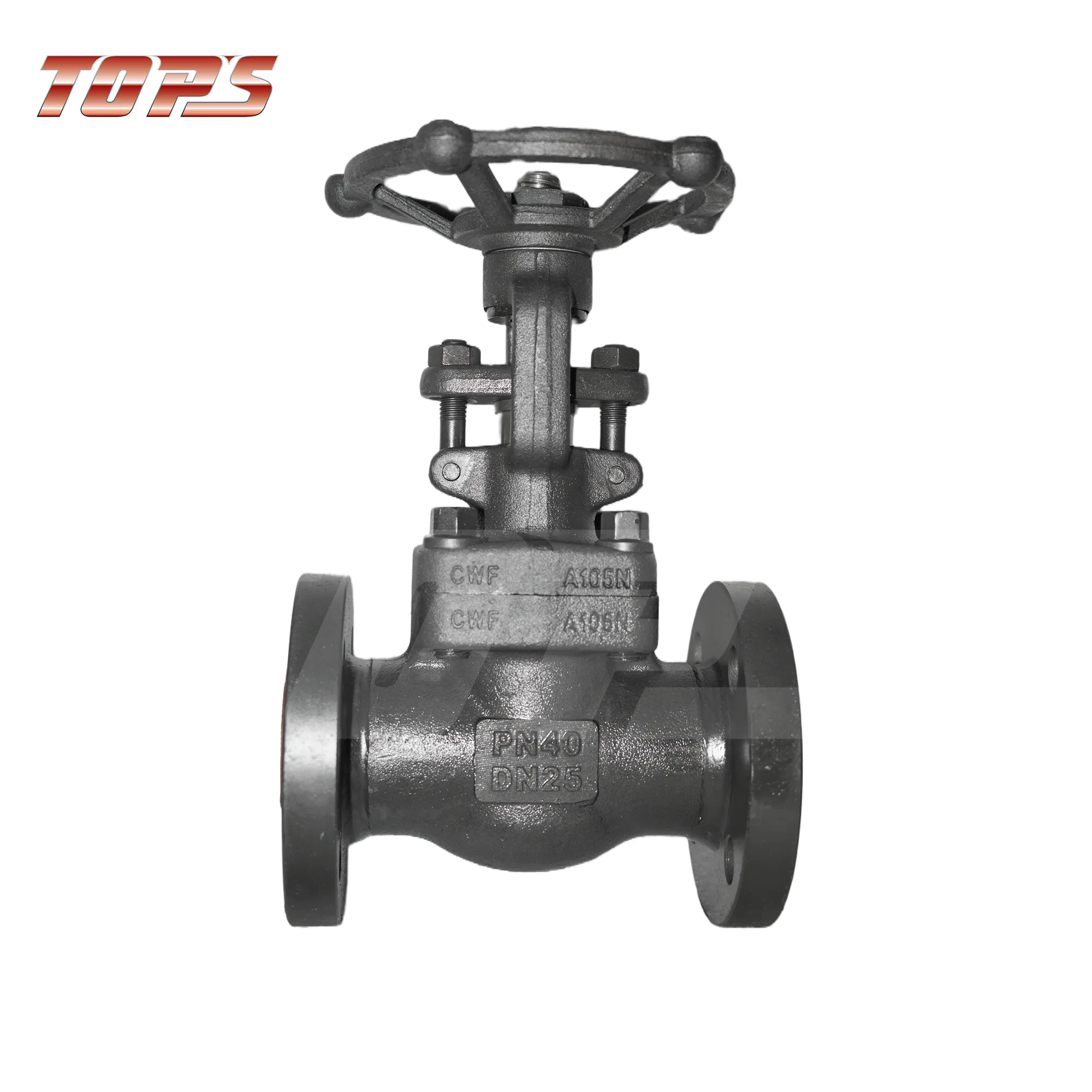 Forged steel gate valves