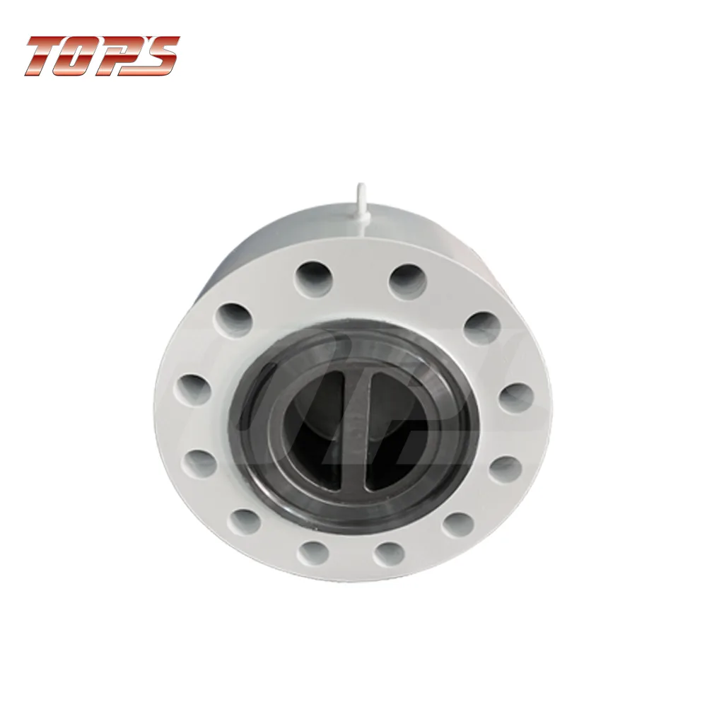 Dual Plate Check Valves