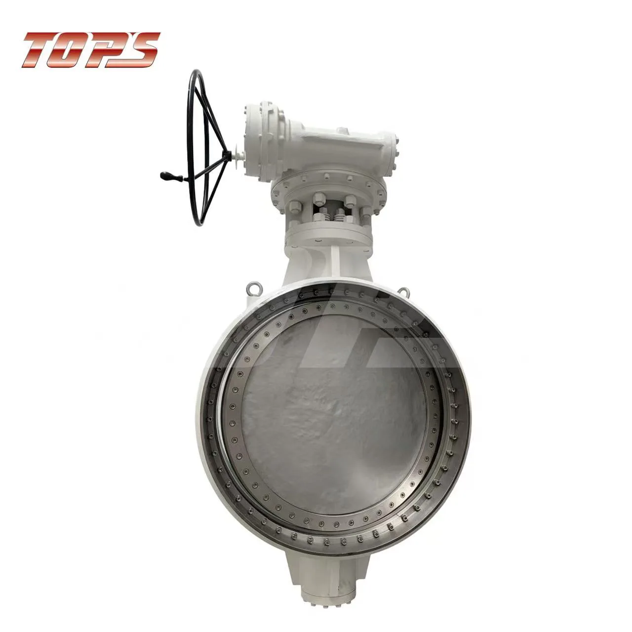 Triple Offset Butterfly Valves